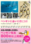 ペンギンに会いに行こう!!
