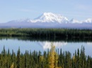 Alaska (United States)