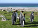 Falkland Islands