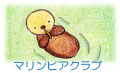 マリンピアクラブ 宮城県松島の「マリンピア松島水族館」のファンクラブ、「マリンピアクラブ」のサイトです。私も会員になっておりますが、毎年夏に開催される、上田一生先生をお招きしての「ペンギン教室」は、ペンギン愛好家垂涎のイベントです。