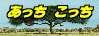 あっちこっち旅日記 Takemaさんの「Takemaのあっちこっち旅日記」。旅関係のサイトは数多くありますが、その中でも私のイチオシのサイトです。文字通り、ホントに国内外あっちこっちいらっしゃっているTakemaさんですが、どの旅も実にユニークなものばかりで、私の憧れの旅人です。