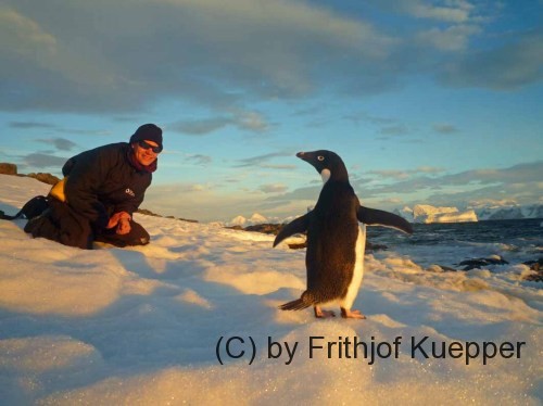 L1120088 FCK penguin interaction in midnight sun at Rothera Point 2010 12 26 COMPACT